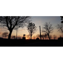 img-20230925-wa0021_746546375